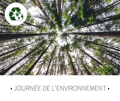Journée de l'environnement