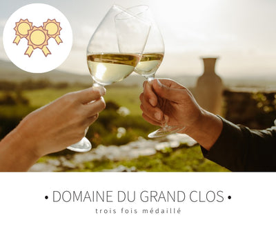 Domaine du Grand Clos trois fois médaillé