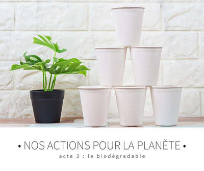 Nos actions pour la planète - Acte 3 : le biodégradable