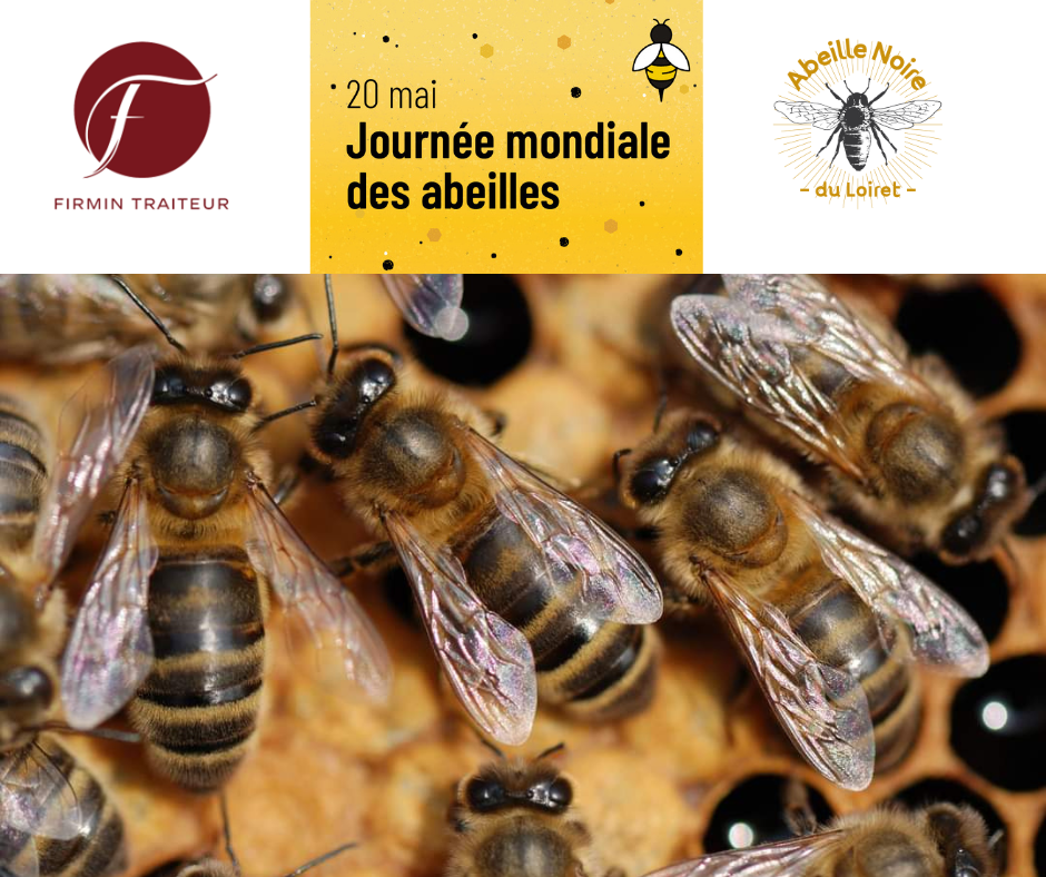 Firmin 🌍 20 mai : Journée mondiale des abeilles – Firmin Traiteur