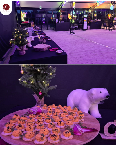 ✨ Une soirée magique au Zoo de Thoiry pour célébrer la fin d’année